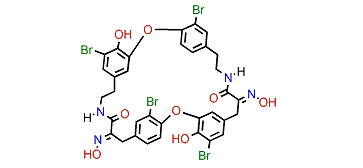 Bastadin 18